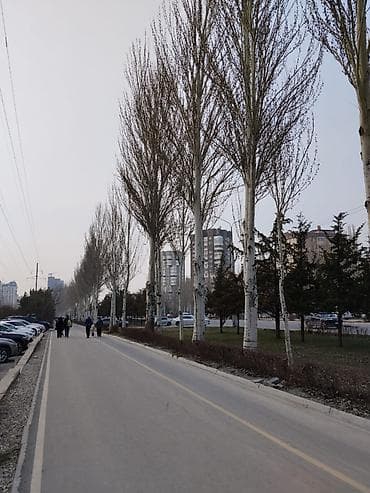 52: 1 комната, 52 м², Асанбай мкр Элитка, 3 этаж, Дизайнерский ремонт — 4