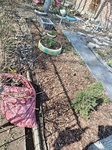 сельхоз работы: Ищу работу разнорабочие. •Чистка, уборка огородов. •Делаем — 4