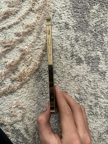 11 iphone pro max: IPhone 12 Pro Max, Серебристый — 4
