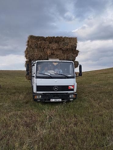 bmw 530d: Грузовик, Mercedes-Benz, Стандарт, 7 т, Б/у — 3