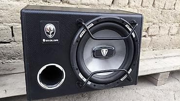 pass: Активный сабвуфер VLANG VL-M10 (10") Характеристики: - Тип: активный — 5