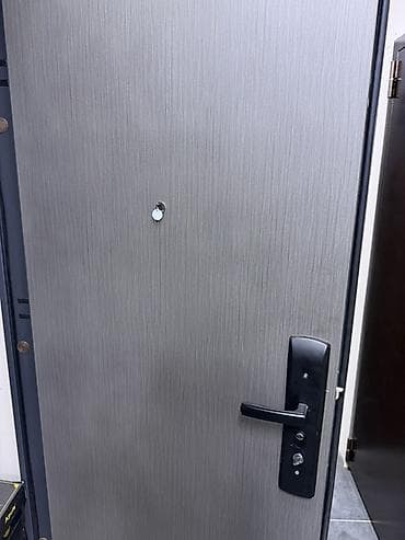 mf doom: Двери для домов и квартир, Металлическая, Одностворчатая, Китайская, цвет - Серый — 2