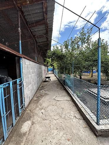 дом для шерине: 📌В селе Петровка срочно продаётся дом на участке 40 соток, длина — 7