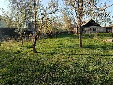 кантейнер 40 т: 6 соток, Курулуш — 4