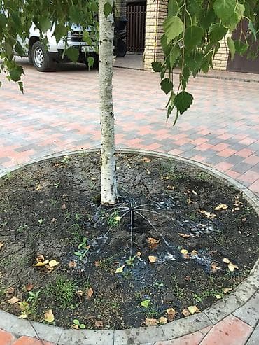 Садовая мебель: Теплицы — 4