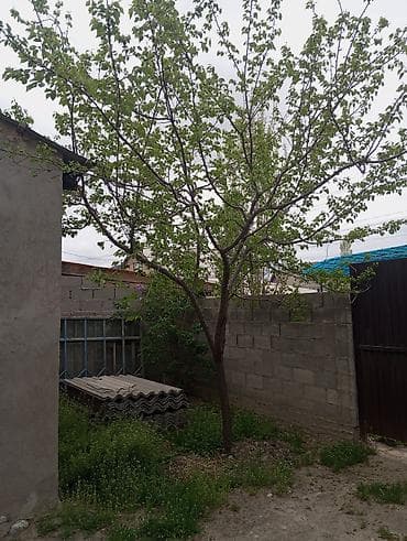 участок хутор: Продаётся земельный участок с жилым домом и хозяйственными — 8