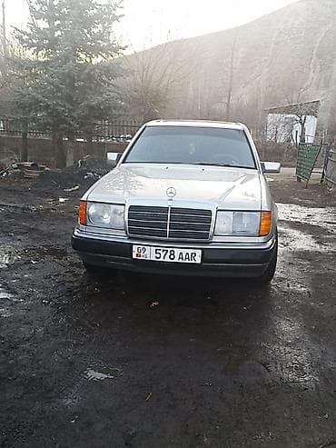 Mercedes-Benz W124: 1992 г., 2.3 л, Механика, Бензин, Седан