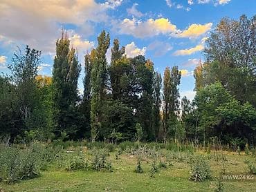 участок для дома: 10 соток Для бизнеса — 3