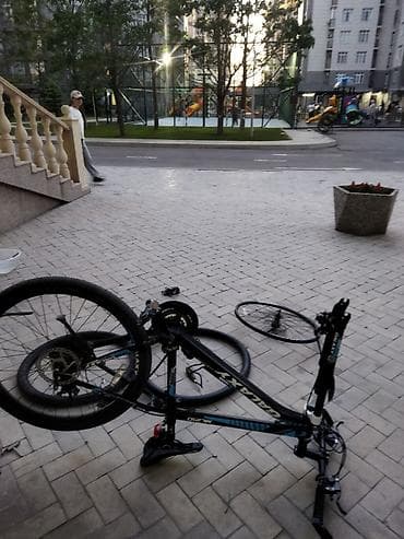 кызыл кия кыз: Өспүрүм балдар үчүн велосипед, Колдонулган — 2