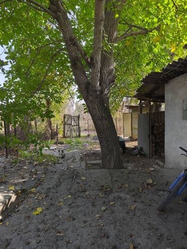 продаю дом рабочий гарадок: Дом, 80 м², 6 комнат, Собственник, Косметический ремонт — 9