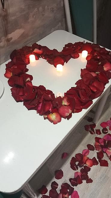 1 комата: 1 комната, Люкс, элитка, ЗАГС/Цирк, Душевая кабина, Постельное белье, Кондиционер — 8