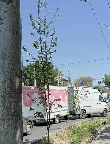 фудтрак: Фудтрак «Пингви Джелато» — киоск для продажи мороженого и напитков — 6