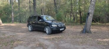 Шкафы для трансформатора: Mercedes-Benz M-Class: 1998 г., 3.2 л, Автомат, Бензин, Кроссовер — 1