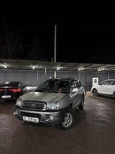 экран саната: Hyundai Santa Fe: 2001 г., Кроссовер — 1