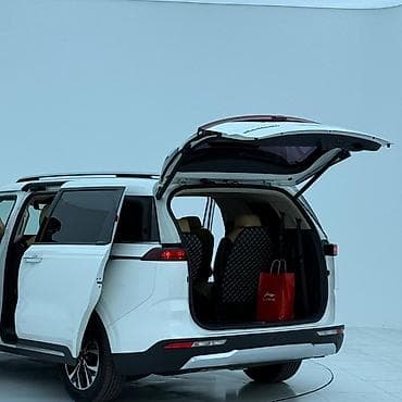 перья: Kia Carnival: 2020 г., 2.2 л, Автомат, Дизель, Минивэн — 9