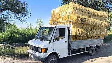 Транспорт: Жүк ташуучу унаа, Mercedes-Benz, Стандарт, 4 т, Колдонулган — 5