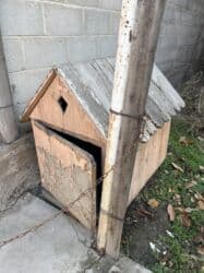 домик в горах бишкек: Дом собаки — 2