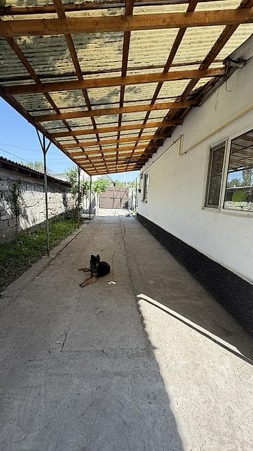 сарай куплю: Продаю дом в ЦЕНТРЕ СОКУЛУКА от трассы 300-400 метров Ниже трассы — 2