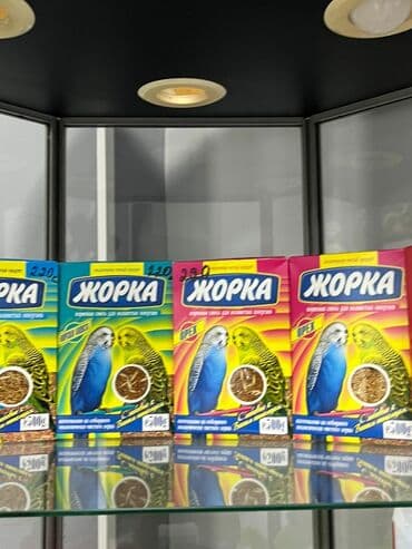 акустические системы vava колонка в виде собак: Корма, лотки, игрушки, клетки для кошек, собак, попугаев, хомячков и — 5