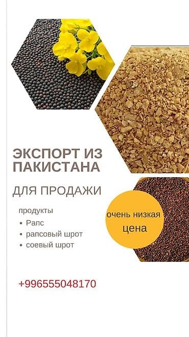 Экспорт из Пакистана — сельхозсырьё для пищевой и кормовой