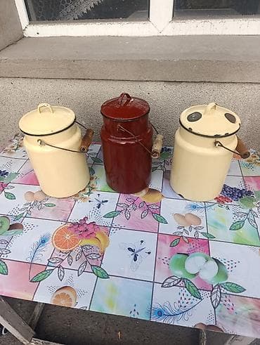 электрическая кастрюля: Продаю эмалированную б/у посуду. Бидоны 4 л ( есть сколы)-1шт 200сом — 1