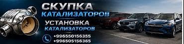 Услуги: Сервис по работе с автомобильными каталитическими нейтрализаторами — 3