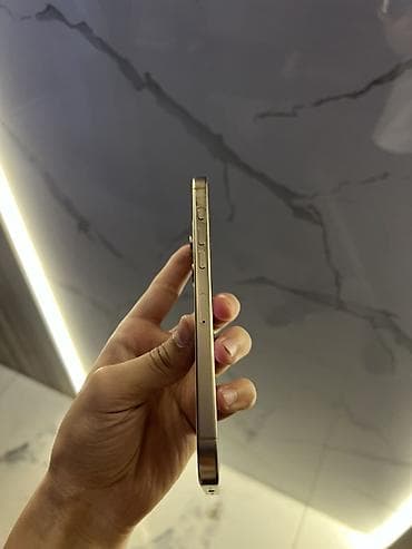 IPhone 16 Pro Max, Колдонулган, 256 ГБ, Desert Titanium, 99 % — 3