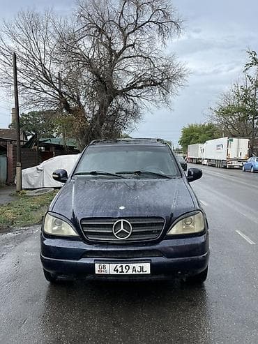 Mercedes-Benz ML-Class: 1999 г., 3.2 л, Автомат, Бензин, Внедорожник