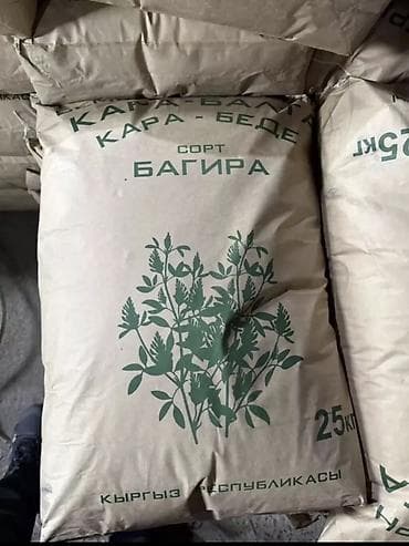 кукуруза местная: Семена кормовых растений: Люцерна — 1