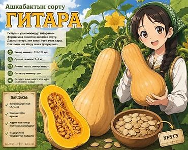 тыквенные семечки: Семена тыквы сорта «Гитара» Описание сорта: - Форма: удлинённая — 1