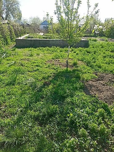 участок жер: 4 соток, Курулуш — 6