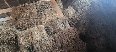 Аквариумы: Сено в тюках - Прессованные прямоугольные тюки, хранение под — 1
