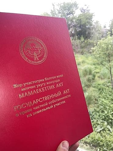Кыймылсыз мүлк: 4 соток, Айыл чарба үчүн, Кызыл китеп — 1