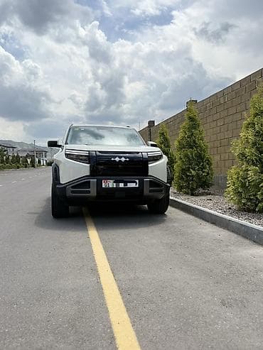 tesla model 3: BYD FangChengBao Leopard 3: 2025 г., Автомат, Электромобиль — 1