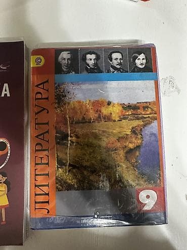 бумага а4 класс с: Русская литература, 9 класс, Б/у, Самовывоз — 1