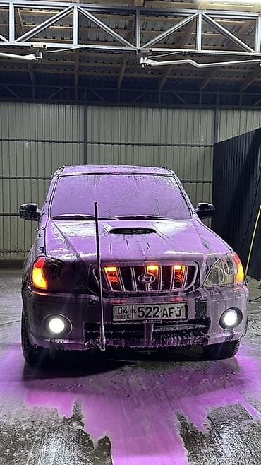 Продажа авто: Hyundai Terracan: 2004 г., 2.9 л, Автомат, Дизель, Внедорожник — 1