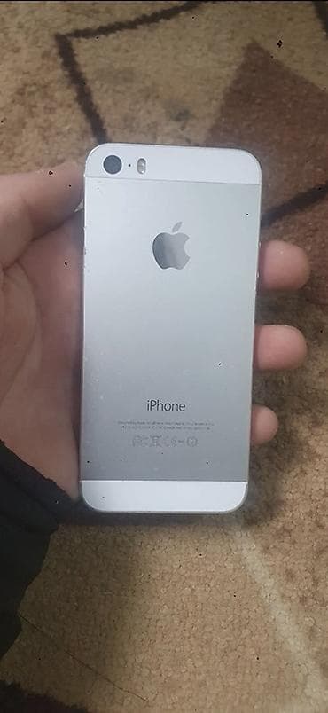 iphone 12 plus: IPhone 5s, Серебристый — 5