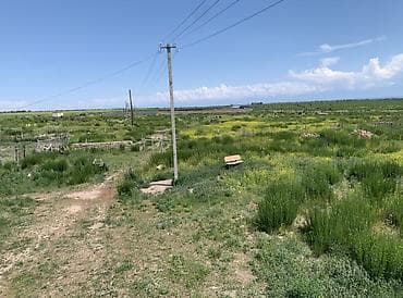 участок село васток: 237 соток, Для сельского хозяйства, Красная книга — 1