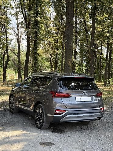 2025: Hyundai Santa Fe: 2019 г., 2 л, Автомат, Дизель, Кроссовер — 5