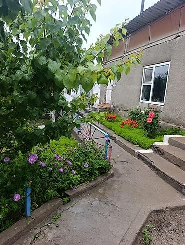 дом купить бишкек: Продаётся жилой дом с благоустроенным двором и садом. - Дом — 1