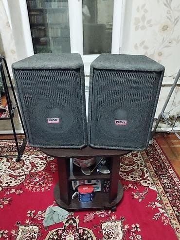 pioner dj: Пара активных акустических систем американского бренда 1) Peavey PBK — 10