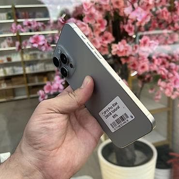 IPhone 15 Pro Max, Колдонулган, 256 ГБ, Natural Titanium, 95 % — 2