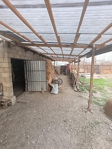 сдается дом аламедин 1: 11 соток, Для сельского хозяйства, Красная книга — 2