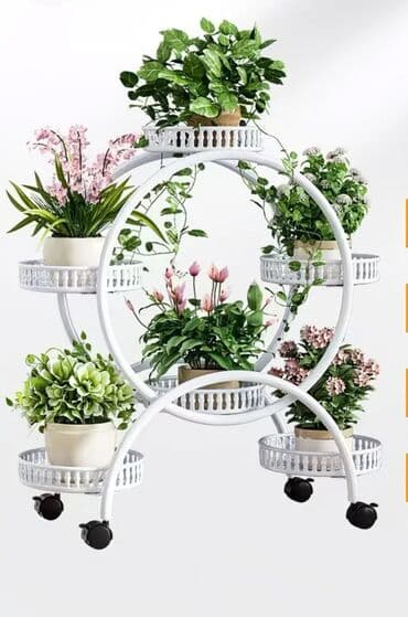 упаковочные пакеты для постельного белья: Комнатные растения в подарочном оформлении - Живые цветущие и — 9