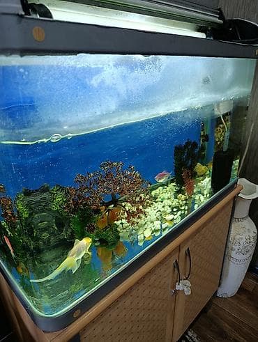 аквариумы с рыбками: Заводской аквариумный комплект на тумбе со всеми оборудованиямии — 2