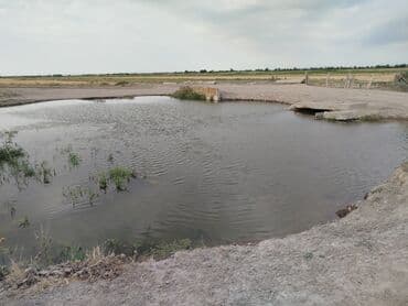 продаю дом бишкек сокулук: 500 соток, Айыл чарба үчүн, Кызыл китеп — 11