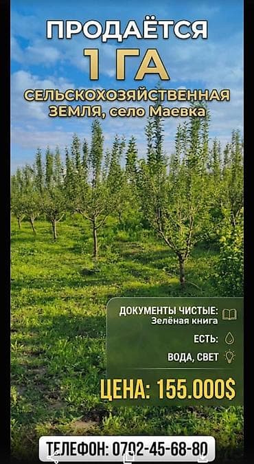 100 соток, Для сельского хозяйства, Договор купли-продажи