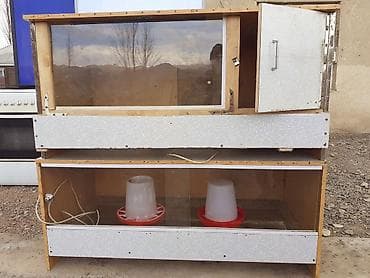 уй жаныбар: Брудер для цыплят/молодняка птицы - Закрытая теплая коробка с — 9