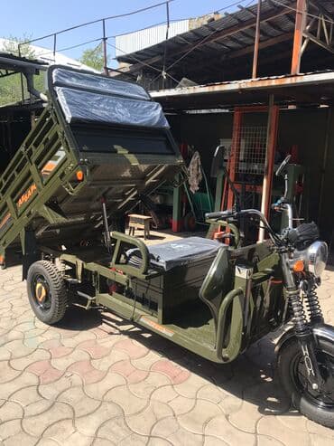 электро муравей в рассрочку бишкек: Трехколёсный, мощный грузовой электромотороллер. Грузоподьемность ?г — 4