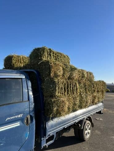 оборудование для корма: Чоп сатылат — 1